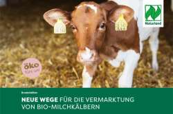 Naturland Bruderkälber - Neue Wege für die Vermarktung von Bio-Milchkälbern